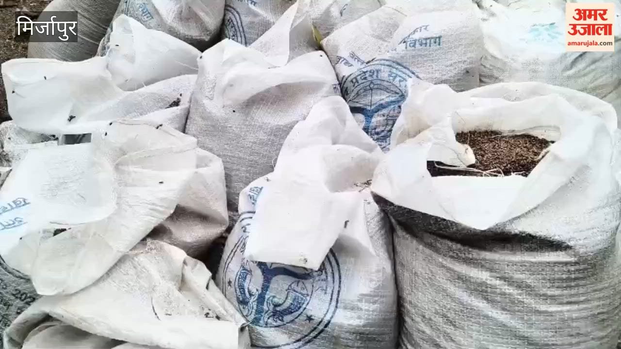 Negligence at government wheat procurement center hundreds quintals of wheat ruined by rain and rats