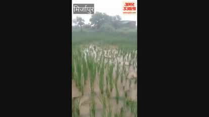 Elephant footprint found in paddy field; panic among villagers