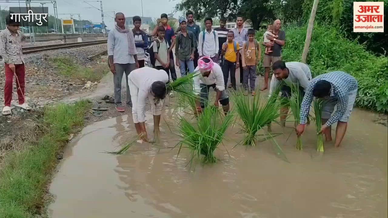 Waterlogging for six months; villagers plant paddy on the road to protest