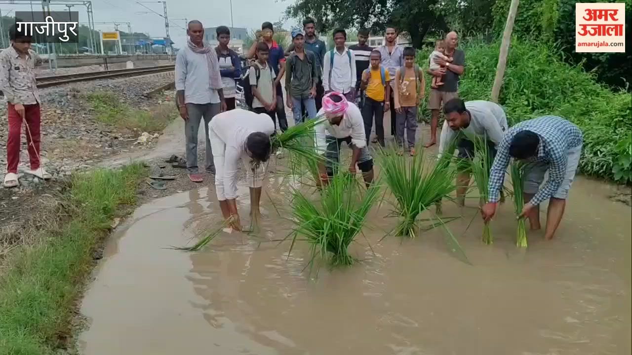 Waterlogging for six months; villagers plant paddy on the road to protest