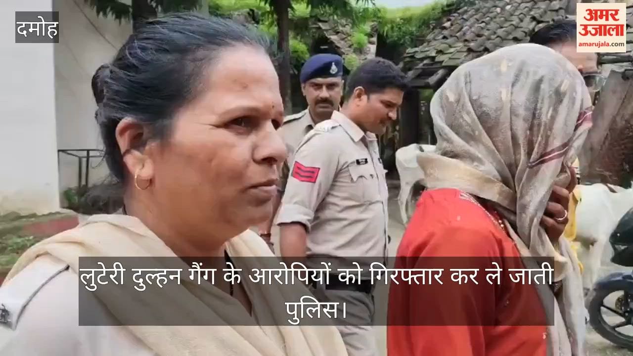 Damoh Wedding Scam: Bride Taken Away as Elder Sister Three Days After Marriage