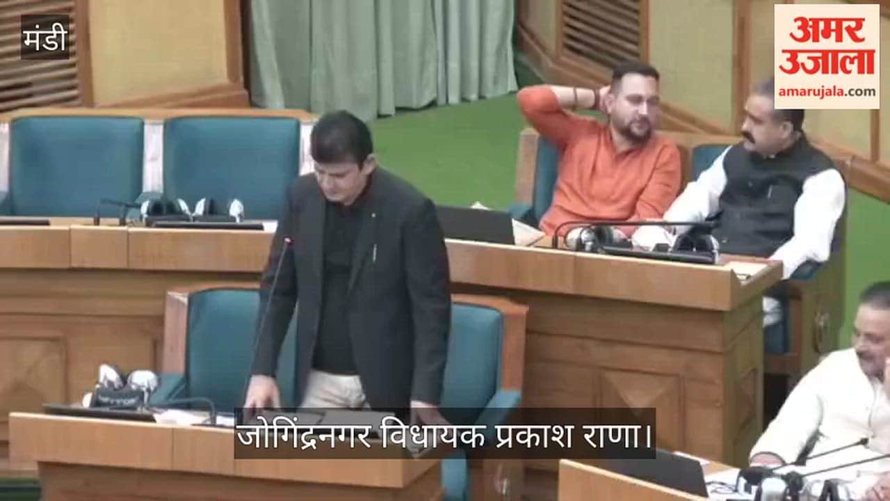 MLA Prakash Rana says: If the government lacks the means to provide jobs to the youth, it should reveal the truth and issue a white paper.