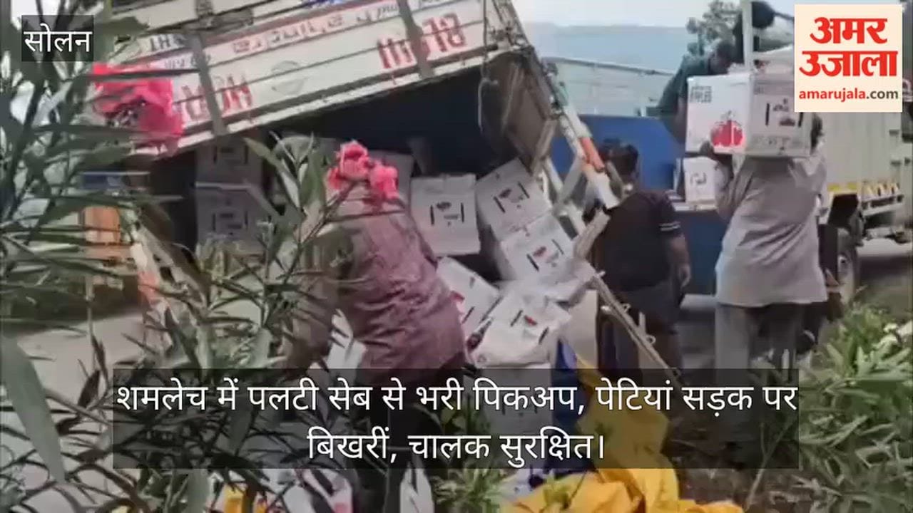 Solan: Apple-laden pickup overturns in Shamlech; driver safe.