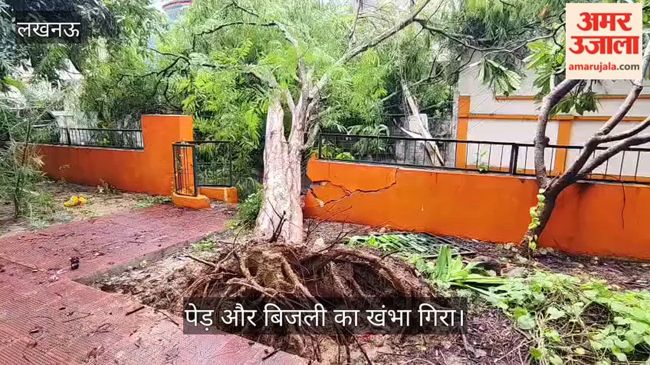 VIDEO: इंदिरा नगर सेक्टर 8 में पेड़ और बिजली का खंभा गिरा, अभी तक बिजली गायब
