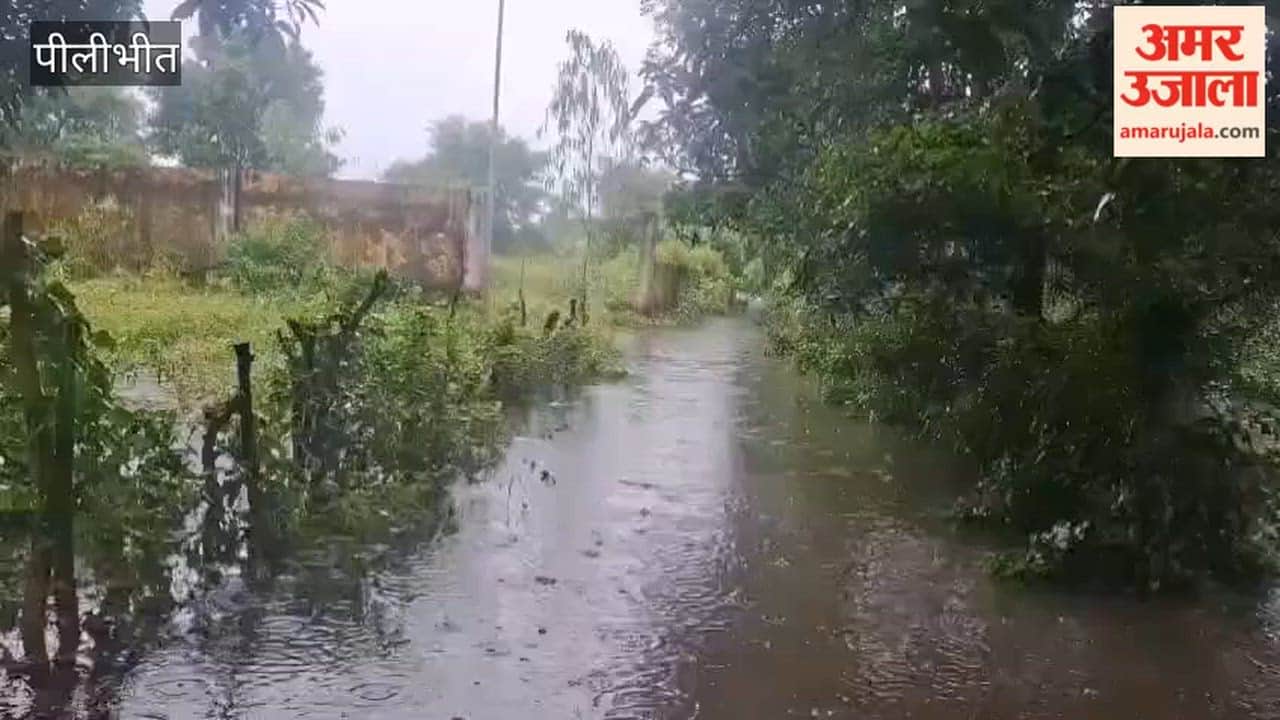 Sharda river is flowing in spate in Pilibhit