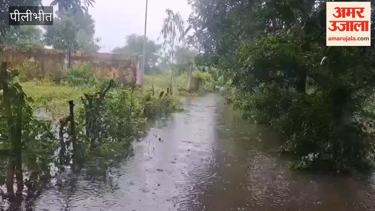 Sharda river is flowing in spate in Pilibhit
