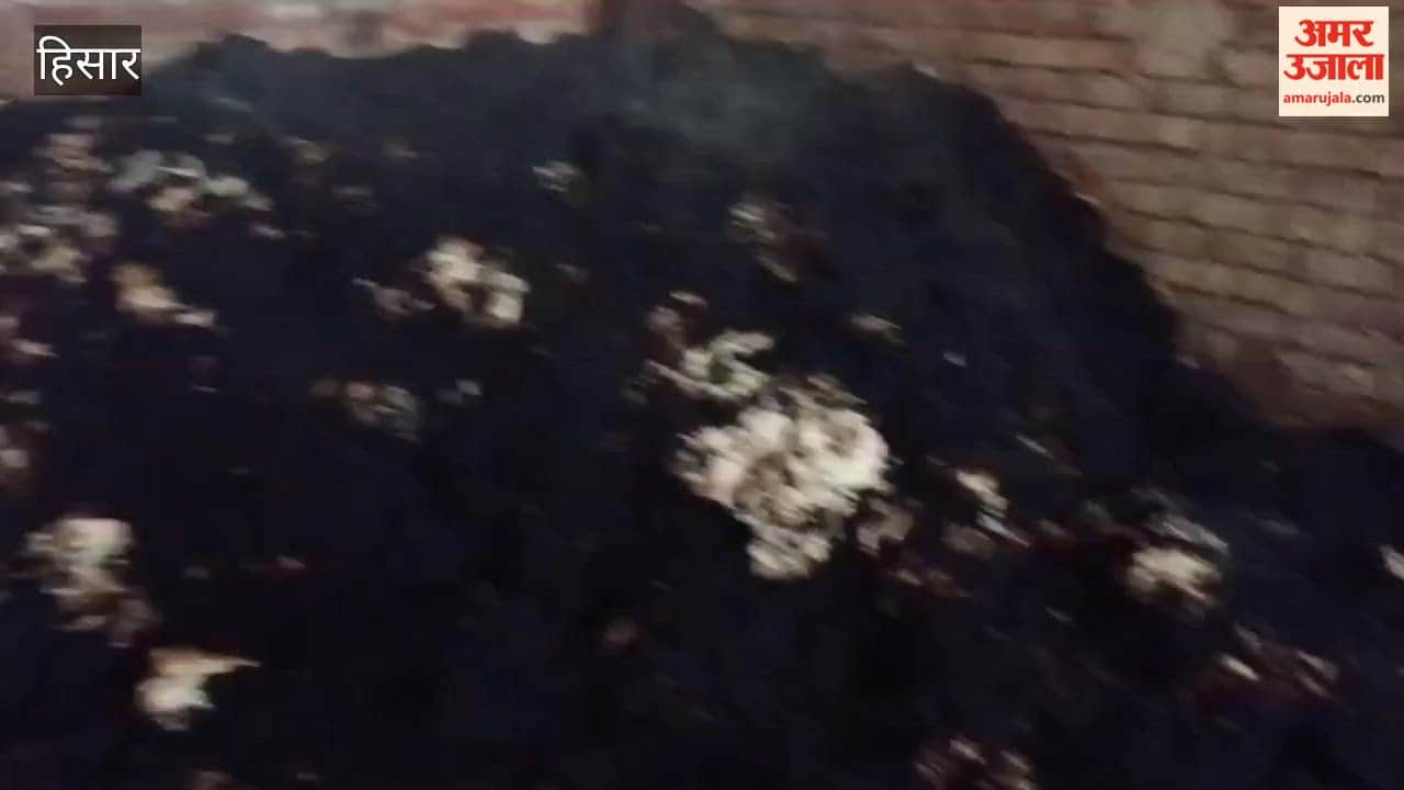 Massive fire breaks out at a cotton ginning mill in Hansi; loss estimated at around ₹25 lakh.