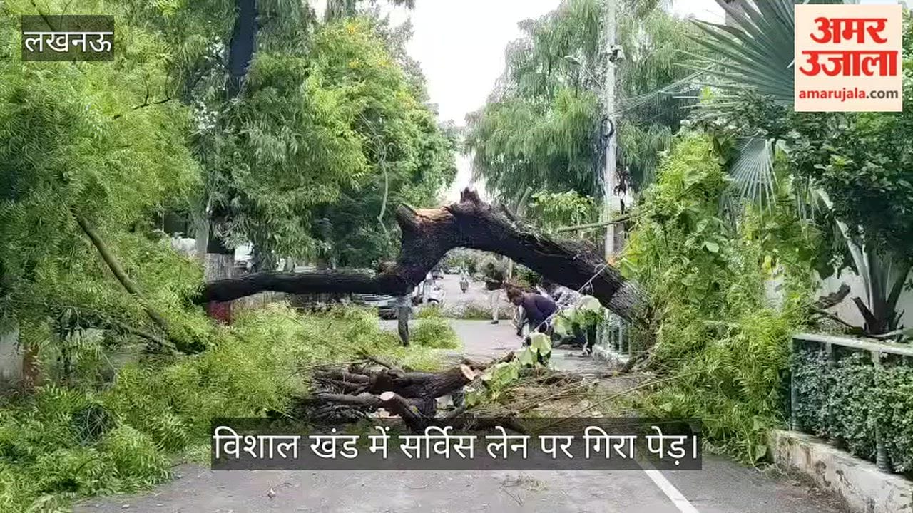 Video: गोमती नगर के विशाल खंड में सर्विस लेन पर गिरा पेड़