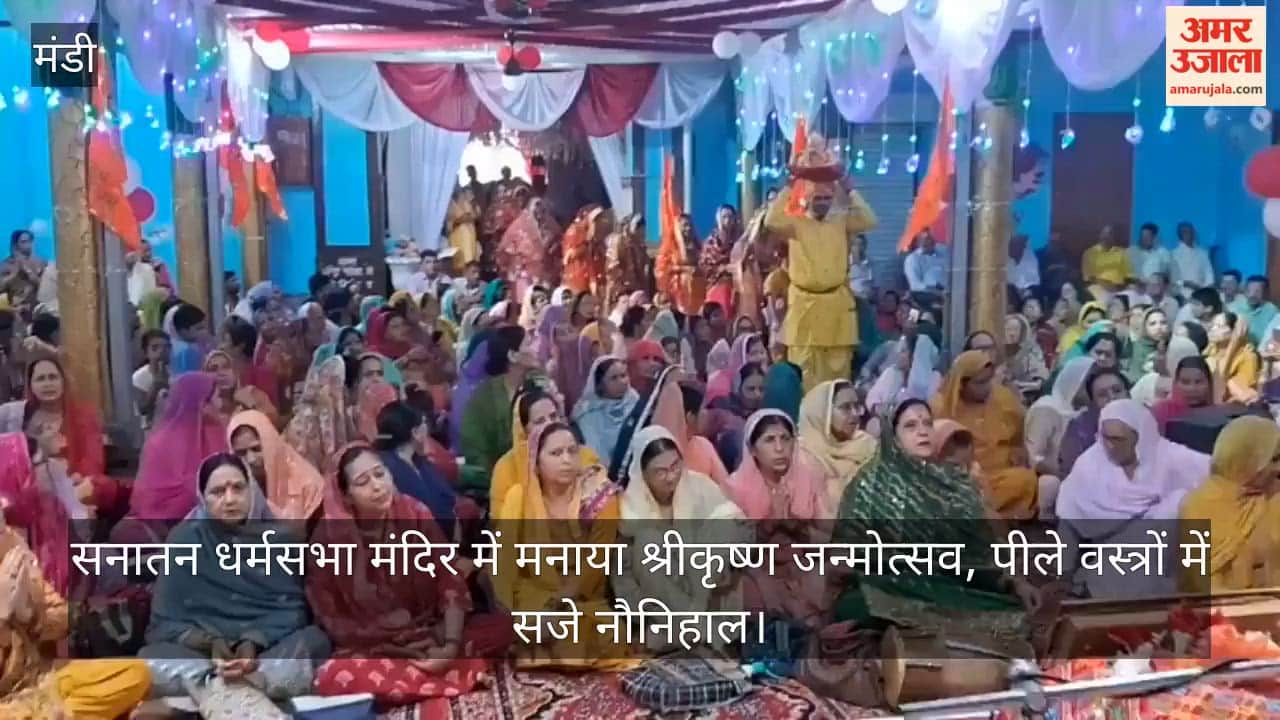 Jogindernagar: Shri Krishna Janmotsav celebrated at Sanatan Dharm Sabha Temple; little ones dressed in yellow attire.