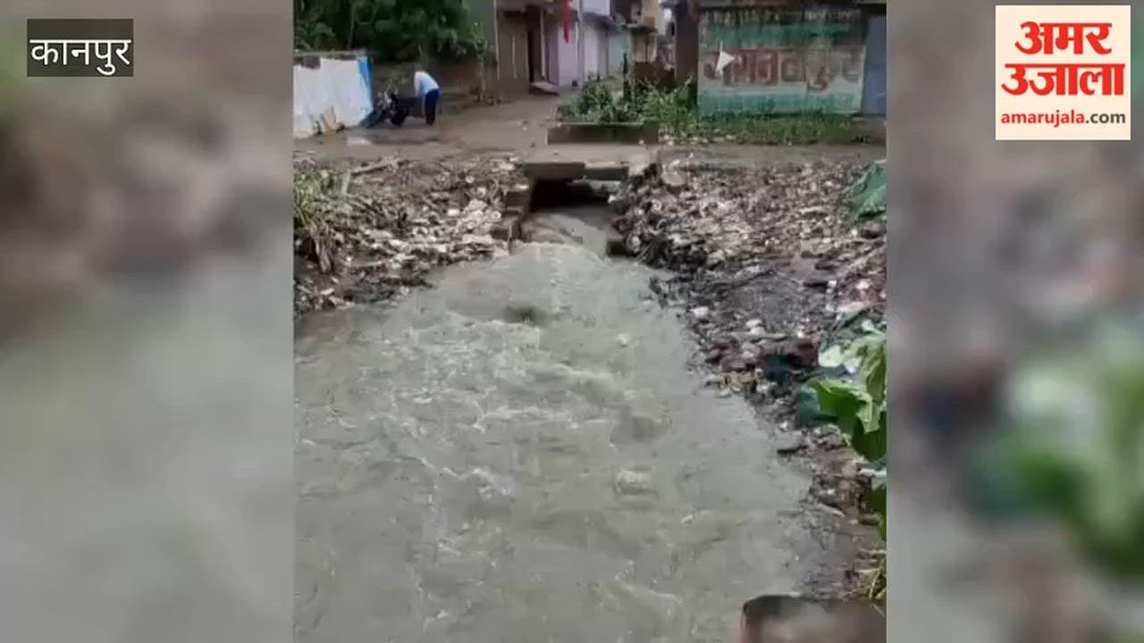 Kanpur: Relief for residents grappling with waterlogging