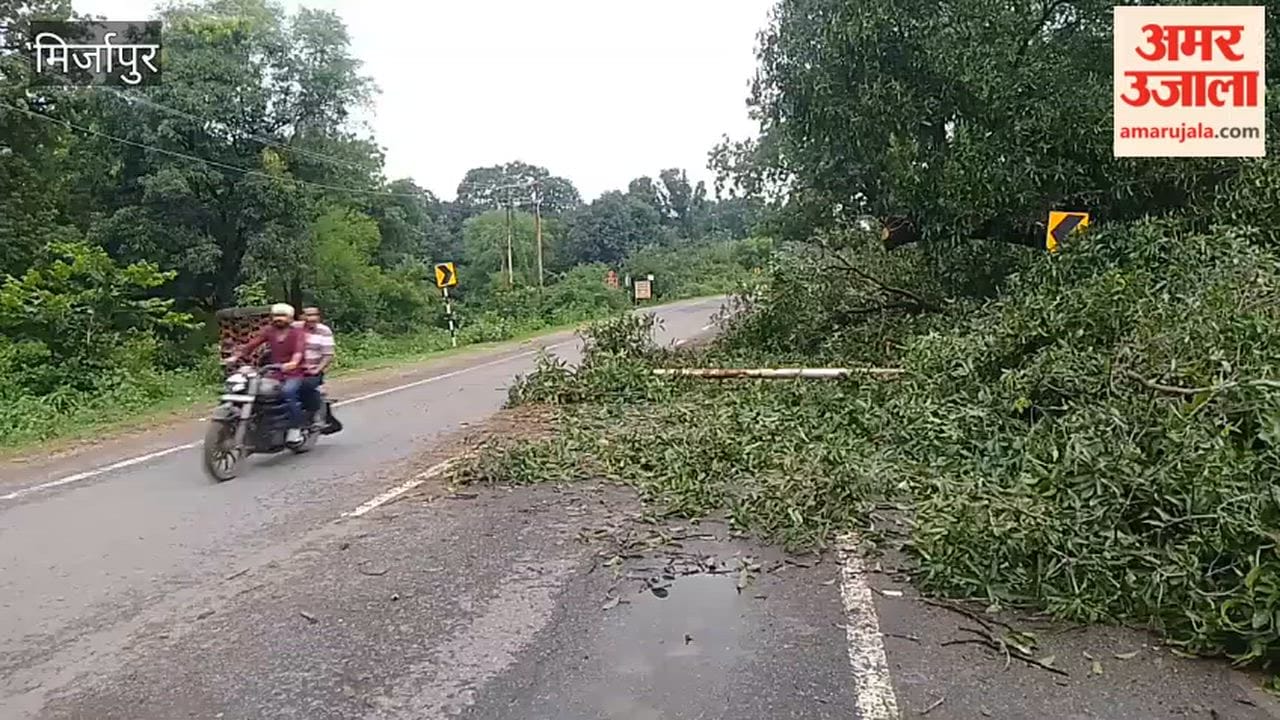 Tree fallen at the bend near Sita Kund Temple causes trouble