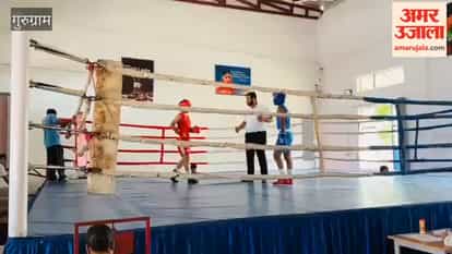 Gurugram boxers performed brilliantly in the North Zone CBSE Boxing Championship, winning five medals including two gold.
