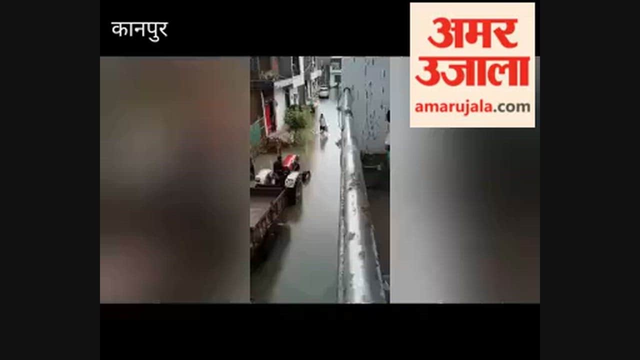 Waterlogging brings crocodiles and venomous snakes into homes