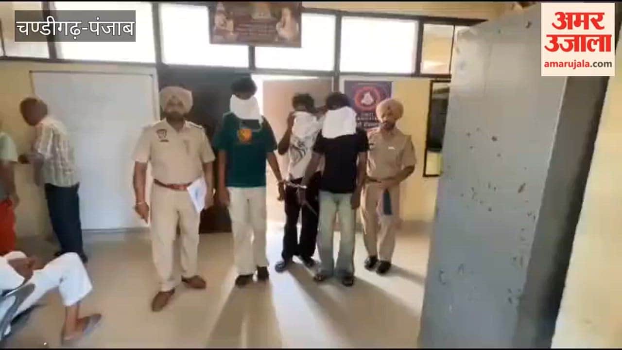Three cunning members of a gang that snatched mobile phones from passersby and stole vehicles arrested in Ferozepur.