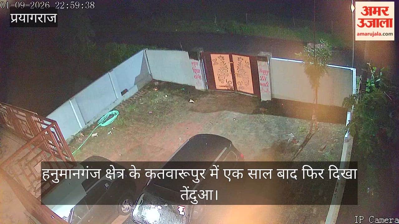 Prayagraj: Leopard spotted again in Katwarupur village of Hanumanganj area after a year; panic among villagers.