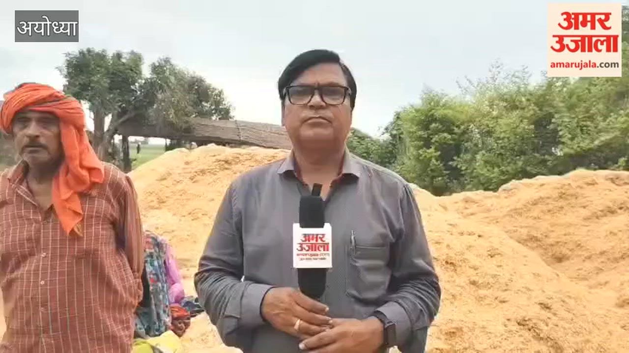 अयोध्या के रुदौली क्षेत्र में सरयू का जलस्तर घटा, तराई में पशुओं के चारे का संकट
