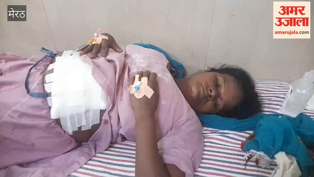 Meerut: Woman Stabbed by Husband Near Medical College, Admitted to Hospital