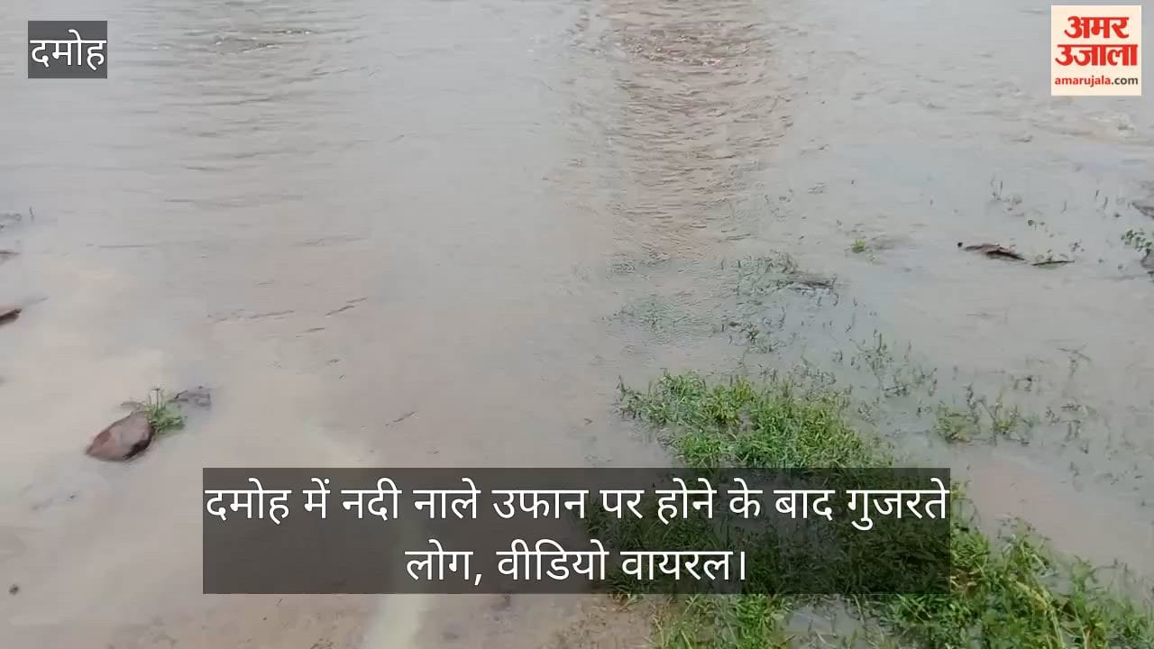 MP Rain Alert Rivers and Drains Overflow in Damoh Transport Halts Commuters Risk Lives