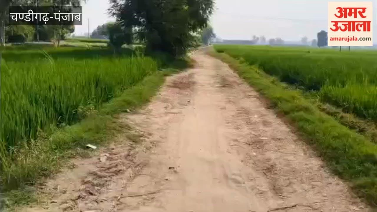 The infrastructure of the government school at Khundar Gatti near the Hussainiwala border is good, but the approach road is unpaved.