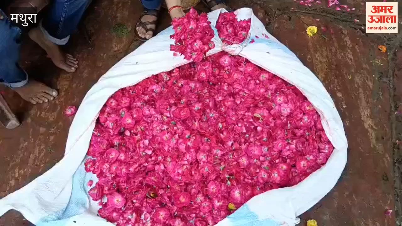 Flower Shopping Continues Overnight Ahead of Krishna’s Birth, Mogra and Roses in High Demand