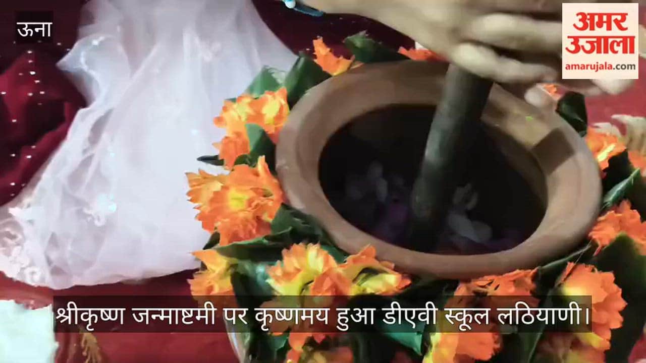 DAV School Lathiyani immersed in the spirit of Krishna on Shri Krishna Janmashtami.