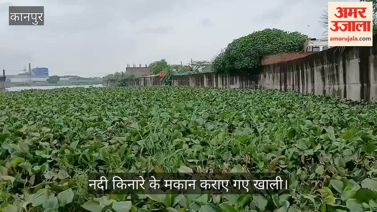 Kanpur: Pandav River water levels rose overnight; houses in Panka village had to be evacuated
