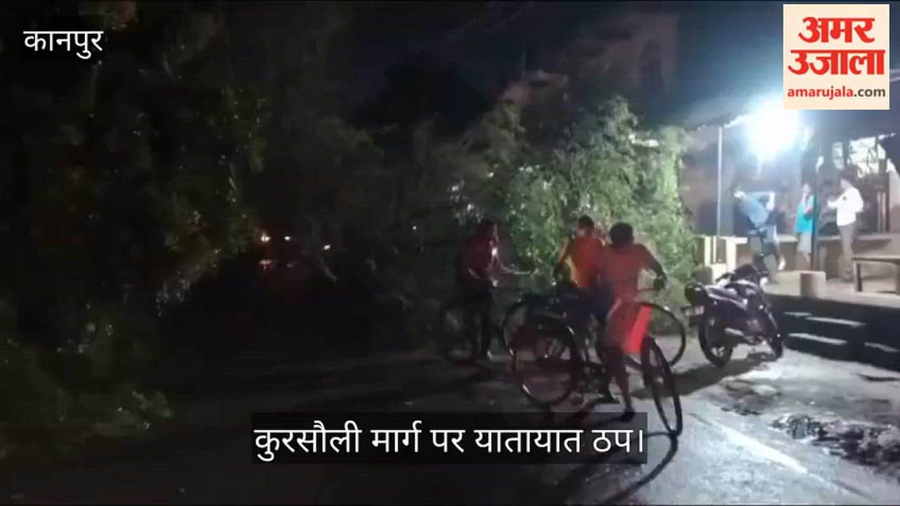 Major Accident Averted in Kanpur Mandhana Acacia Tree Falls After Collision with LPG Truck