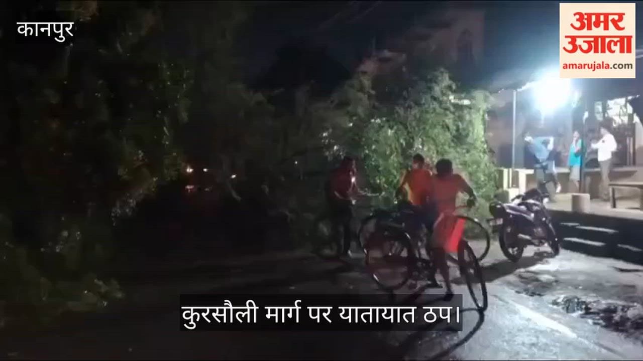 Major Accident Averted in Kanpur Mandhana Acacia Tree Falls After Collision with LPG Truck