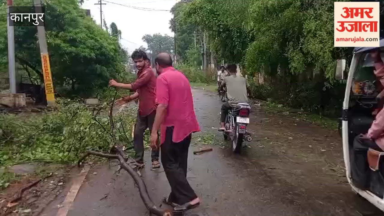 Local residents removed a fallen tree from the Kursauli road, which had been blocked for 14 hours