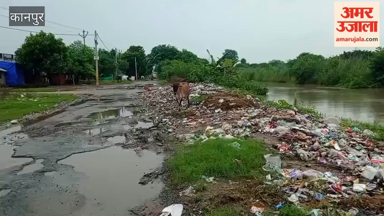 Kursauli village gripped by fever; Panchayat officials' claim of carrying out sanitation work proves false
