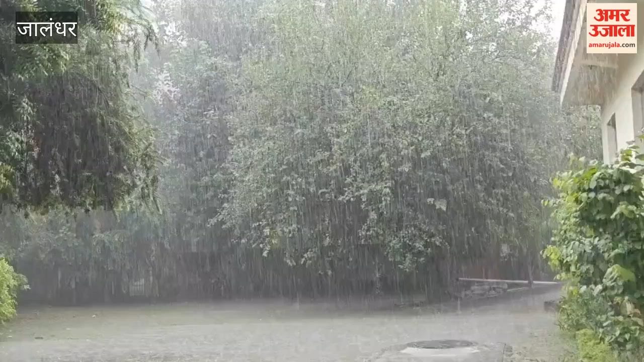 Rain in Jalandhar