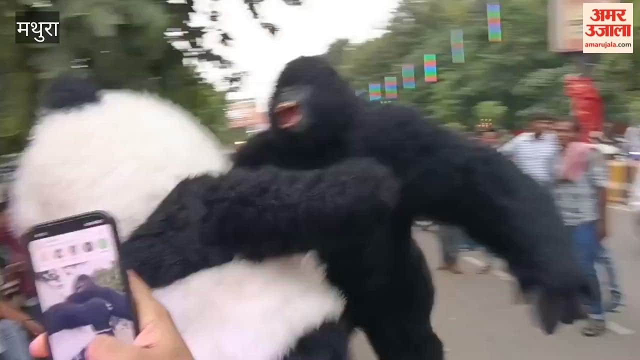 Gorilla and Bear Costumes Draw Crowd in Mathura, Youths Rush for Photos