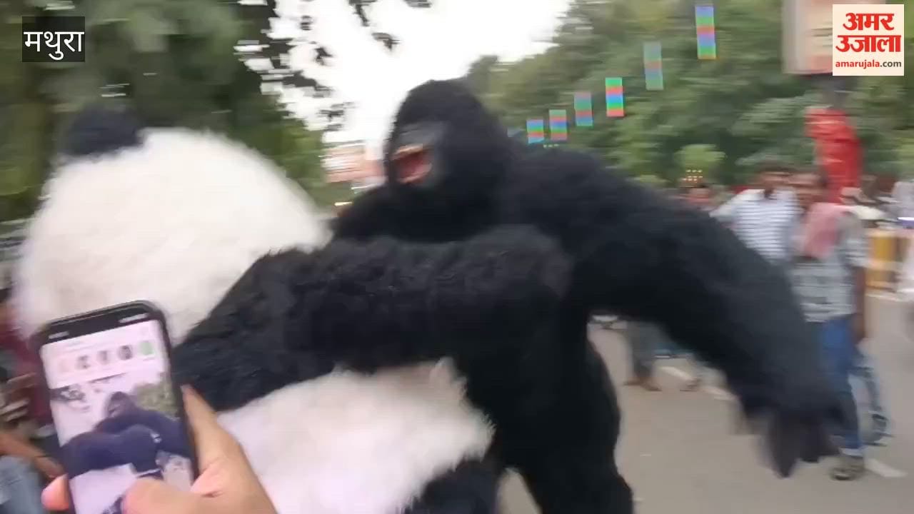Gorilla and Bear Costumes Draw Crowd in Mathura, Youths Rush for Photos