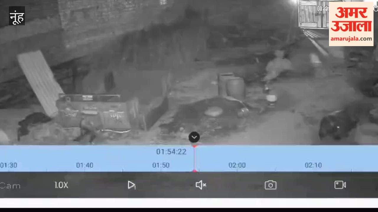 Incident of livestock theft captured on CCTV