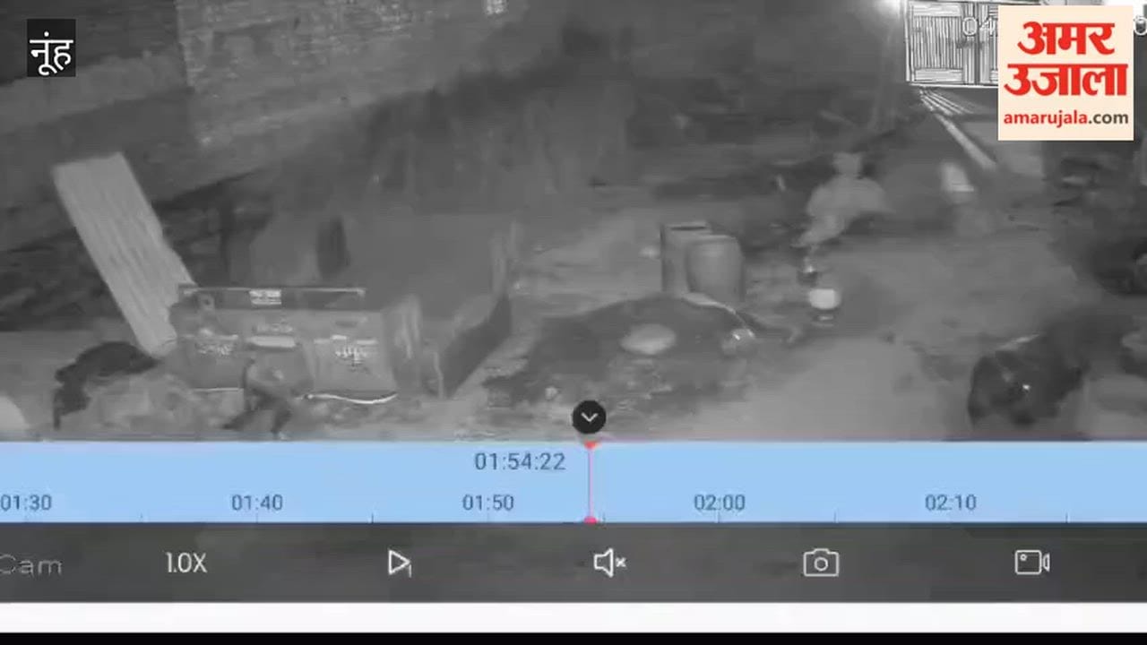Incident of livestock theft captured on CCTV