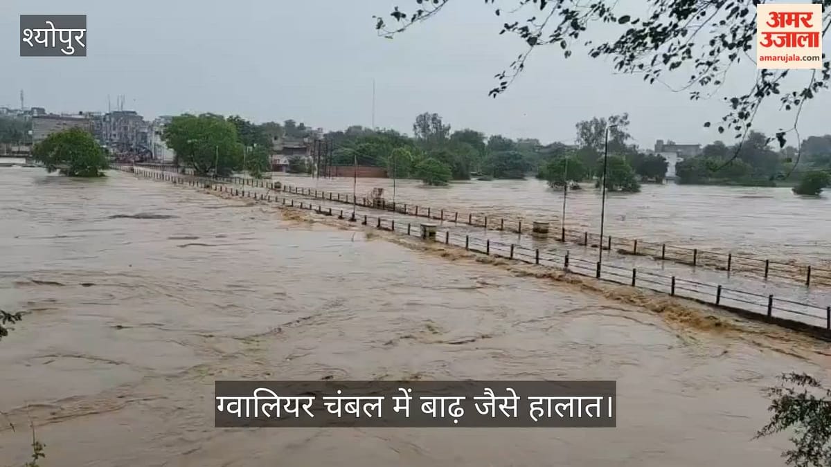 श्योपुर में बारिश का कहर: क्वारी नदी उफान पर, पुल डूबा, गांवों और बस्तियों में घुसा पानी; अफरातफरी