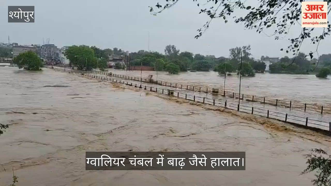 Rain havoc in Sheopur: Kwari River in spate, bridge submerged, water enters villages and settlements.