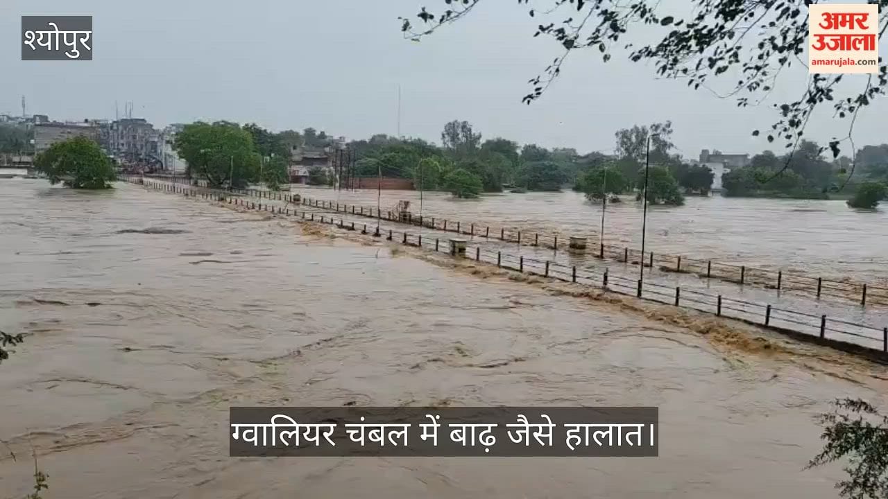 Rain havoc in Sheopur: Kwari River in spate, bridge submerged, water enters villages and settlements.
