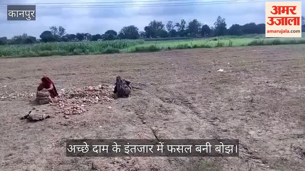 Kanpur: Potato prices leave farmers in distress; they are dumping their crops by the roadside.