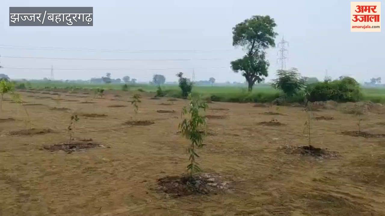 message of environmental conservation was conveyed by planting 500 saplings at the Radha-Krishna temple complex in Badli.