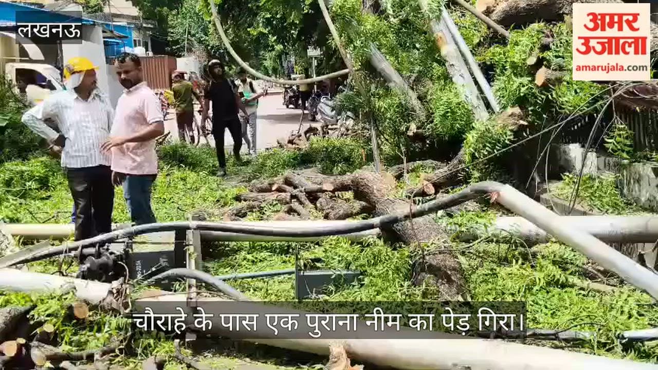 Video: लखनऊ में चौराहे के पास एक पुराना नीम का पेड़ गिरा