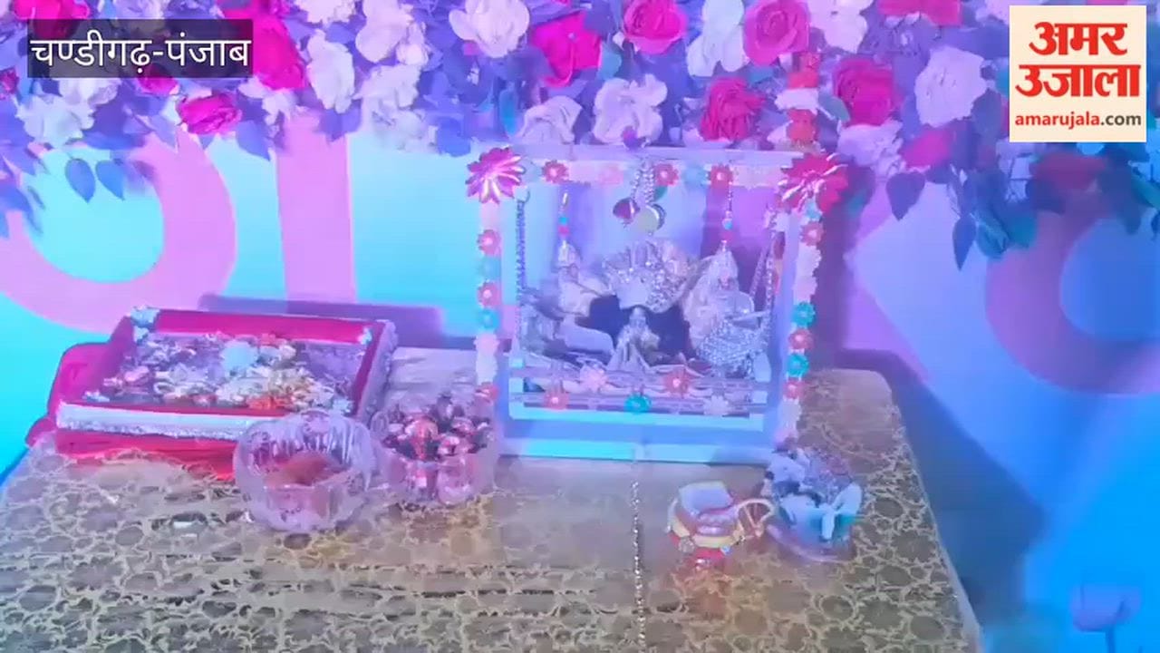 Grand celebration of Shri Krishna Janmashtami at DAV Public School, Kotkapura.