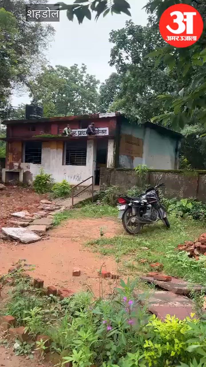 Shahdol Outrage After Primary School Children Made to Clean Sunshade Amid Rain Education Dept Orders Inquiry
