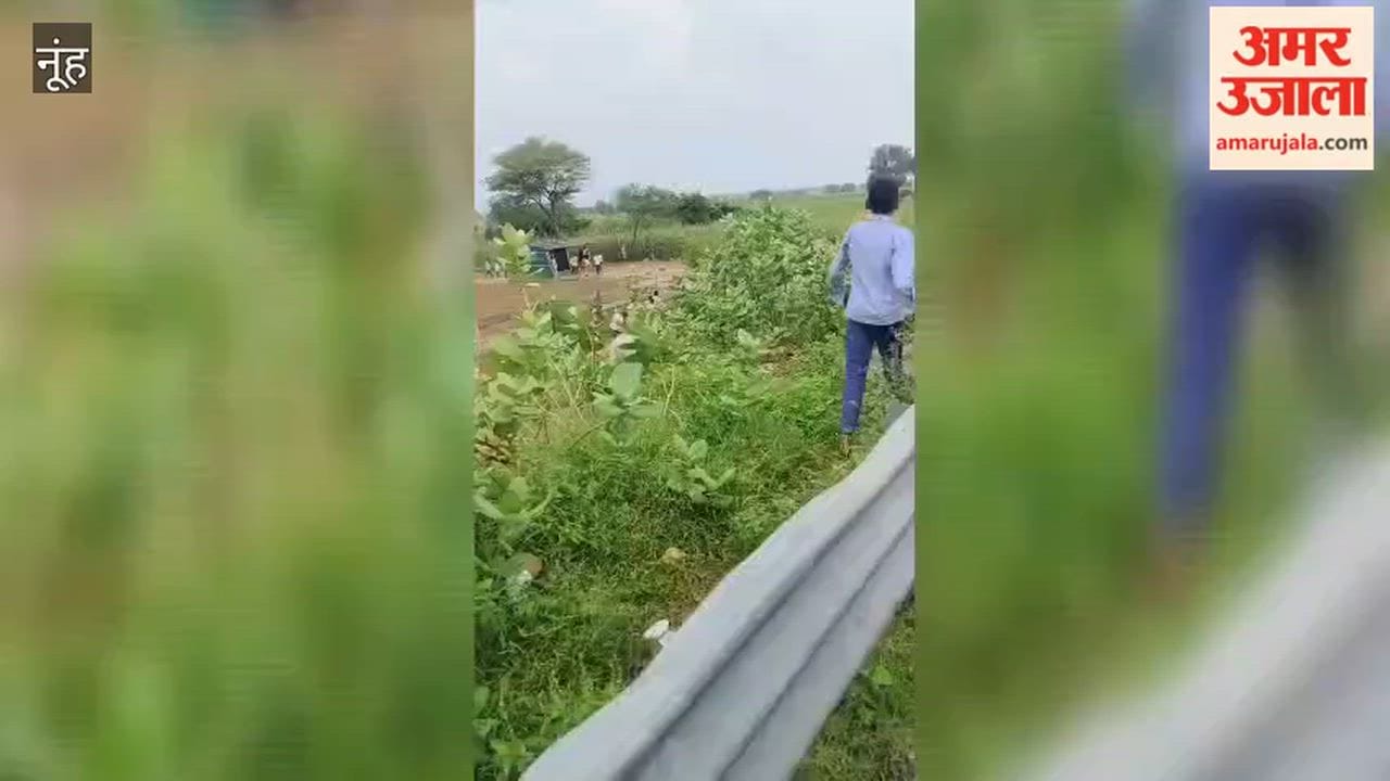 Bulldozer action against illegal dhabas near the Delhi-Mumbai Expressway.