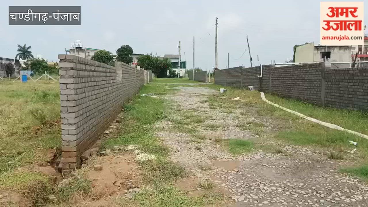 Illegal colonies continue to spring up in the restricted zone of Pathankot; questions raised regarding the administration's functioning.