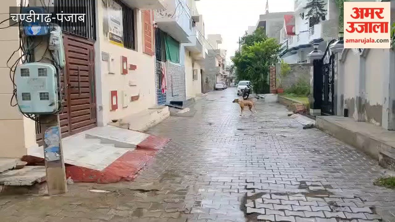Light rain makes the weather pleasant in Ferozepur.
