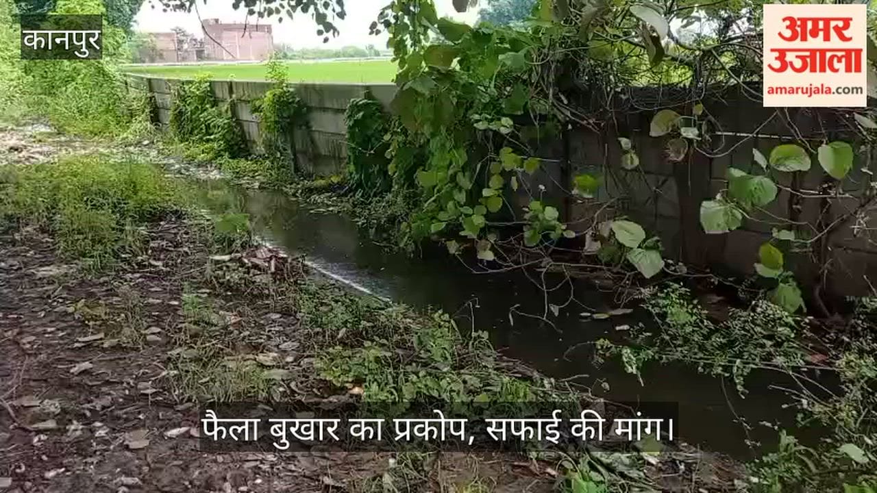 Over two dozen villagers fall ill in Kanpur Kursauli village due to clogged drains and filth