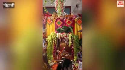 Janmashtami celebrations at Baltana's Sanatan Dharma Shiva Temple