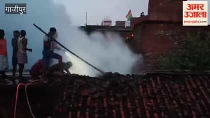 Fire caused by mosquito coil; cow dies