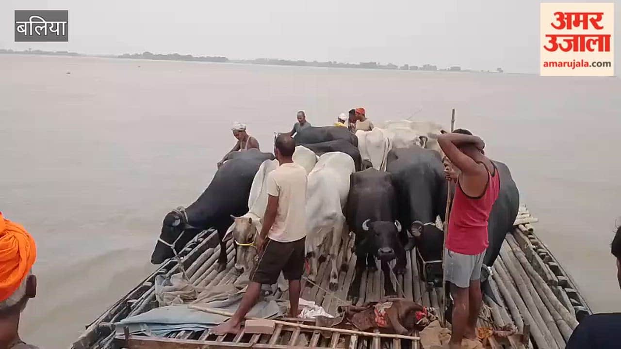 Saryu's furious form: a dozen villages submerged, river flowing half a meter above the danger mark